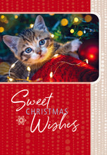 Load image into Gallery viewer, F43024 - CHRISTMAS CUTIES - KJV