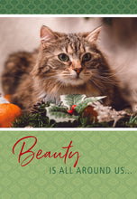 Load image into Gallery viewer, F43024 - CHRISTMAS CUTIES - KJV