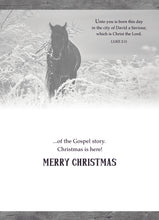 Load image into Gallery viewer, F43197 - HOLIDAY HORSES - KJV