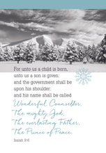 Load image into Gallery viewer, F43259 - FROSTY LANDSCAPES - KJV