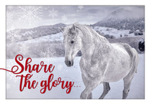 Load image into Gallery viewer, F45238 - 24 COUNT CHRISTMAS VALUE BOX - KJV/NIV