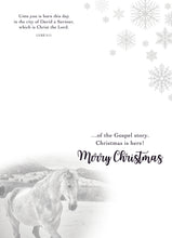 Load image into Gallery viewer, F45238 - 24 COUNT CHRISTMAS VALUE BOX - KJV/NIV