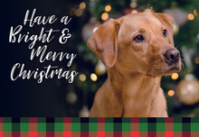 Load image into Gallery viewer, F45299 - 48 COUNT CHRISTMAS VALUE BOX - KJV/NIV