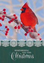 Load image into Gallery viewer, F45238 - 24 COUNT CHRISTMAS VALUE BOX - KJV/NIV