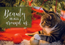 Load image into Gallery viewer, F45299 - 48 COUNT CHRISTMAS VALUE BOX - KJV/NIV