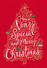 Load image into Gallery viewer, F45238 - 24 COUNT CHRISTMAS VALUE BOX - KJV/NIV