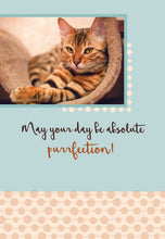 Load image into Gallery viewer, F23462 - Faithfully Yours Curious Kittens - Birthday 12 Cards with KJV Scripture
