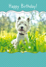 Load image into Gallery viewer, F23494 - Faithfully Yours Playful Pals - 12 Birthday Cards W/Scripture 4 Designs