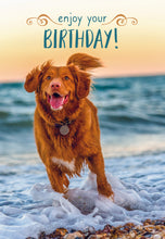 Load image into Gallery viewer, F23494 - Faithfully Yours Playful Pals - 12 Birthday Cards W/Scripture 4 Designs