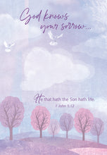 Load image into Gallery viewer, F23509 - Spirit of Peace - Sympathy