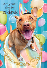 Load image into Gallery viewer, F23514 - Faithfully Yours Furry Friends 12 Birthday Cards W/ KJV Scripture 4 Designs