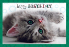 Load image into Gallery viewer, F23514 - Faithfully Yours Furry Friends 12 Birthday Cards W/ KJV Scripture 4 Designs