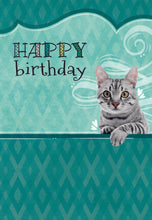 Load image into Gallery viewer, F23514 - Faithfully Yours Furry Friends 12 Birthday Cards W/ KJV Scripture 4 Designs