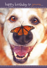 Load image into Gallery viewer, F23514 - Faithfully Yours Furry Friends 12 Birthday Cards W/ KJV Scripture 4 Designs