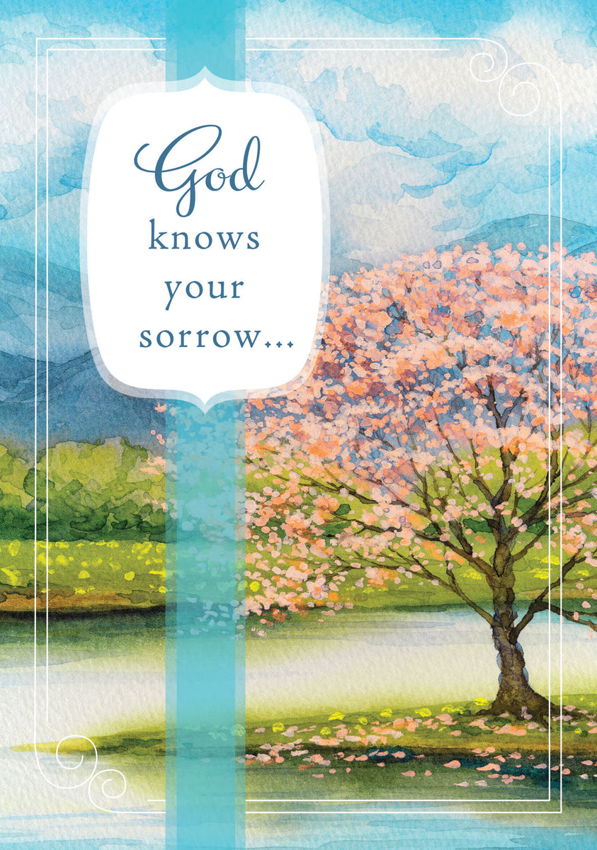 サンプル　見本版　KASHIMASHI KANT FAITHFUL CD F81381 - SYMPATHY - TRANQUILITY - KJV – McBeth Corporation