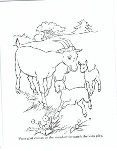 41019 - FARM ANIMALS - COLORING BOOKS