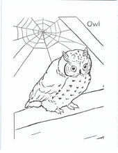 Load image into Gallery viewer, 41019 - FARM ANIMALS - COLORING BOOKS
