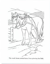Load image into Gallery viewer, 41019 - FARM ANIMALS - COLORING BOOKS