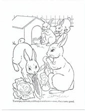 Load image into Gallery viewer, 41019 - FARM ANIMALS - COLORING BOOKS
