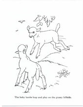 Load image into Gallery viewer, 41019 - FARM ANIMALS - COLORING BOOKS