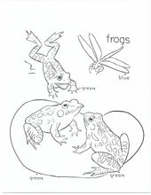 Load image into Gallery viewer, 41019 - FARM ANIMALS - COLORING BOOKS