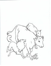 Load image into Gallery viewer, 41019 - FARM ANIMALS - COLORING BOOKS