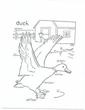 Load image into Gallery viewer, 41019 - FARM ANIMALS - COLORING BOOKS