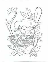 Load image into Gallery viewer, 41020 - FARM BABIES - COLORING BOOK
