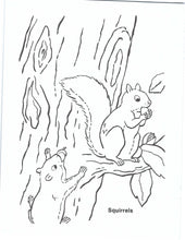 Load image into Gallery viewer, 41020 - FARM BABIES - COLORING BOOK