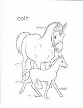 Load image into Gallery viewer, 41020 - FARM BABIES - COLORING BOOK
