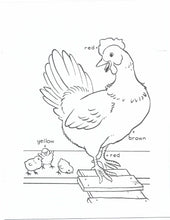 Load image into Gallery viewer, 41020 - FARM BABIES - COLORING BOOK