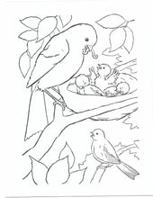 Load image into Gallery viewer, 41020 - FARM BABIES - COLORING BOOK