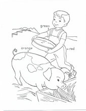 Load image into Gallery viewer, 41020 - FARM BABIES - COLORING BOOK