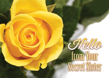 Load image into Gallery viewer, G3133 - WARNER PRESS Sisters In Christ Secret Sister Cards 12 Cards w/ KJV & NIV Scripture