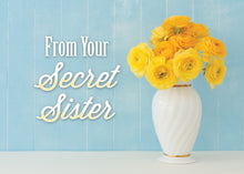 Load image into Gallery viewer, G3133 - WARNER PRESS Sisters In Christ Secret Sister Cards 12 Cards w/ KJV & NIV Scripture