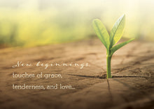 Load image into Gallery viewer, G3303 - WARNER PRESS Renewing Your Spirit Thinking of You 12 Cards W/KJV Scripture