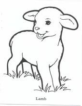 Load image into Gallery viewer, 41022 - GOD MADE THE ANIMALS - COLORING BOOK