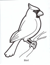 Load image into Gallery viewer, 41022 - GOD MADE THE ANIMALS - COLORING BOOK
