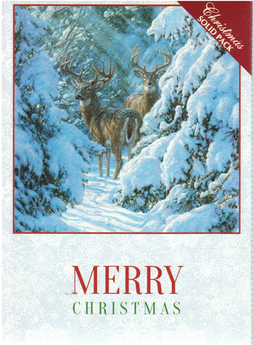 H14066 CHRISTMAS WINTER SENTINELS - KJV