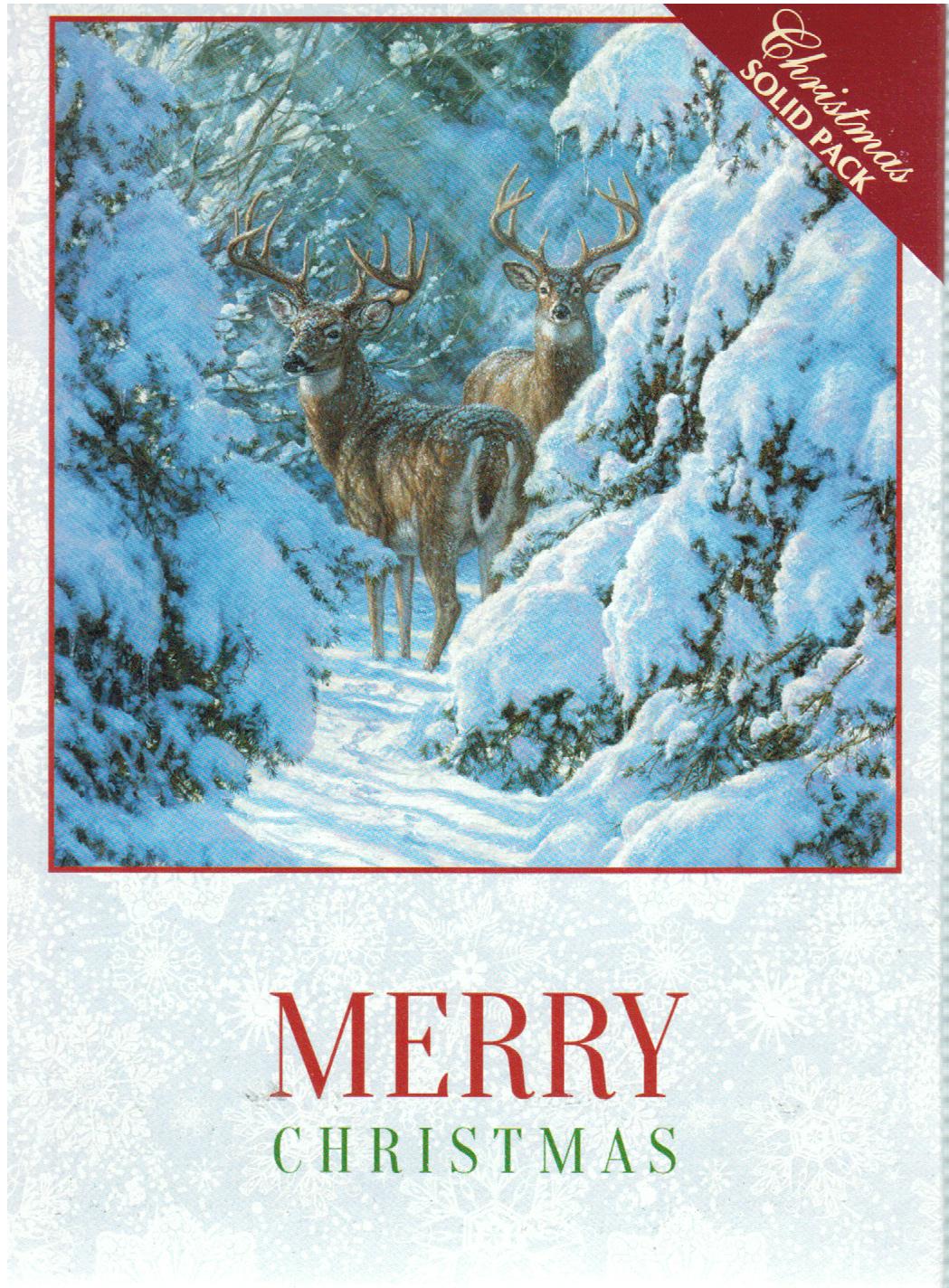 H14066 CHRISTMAS WINTER SENTINELS - KJV