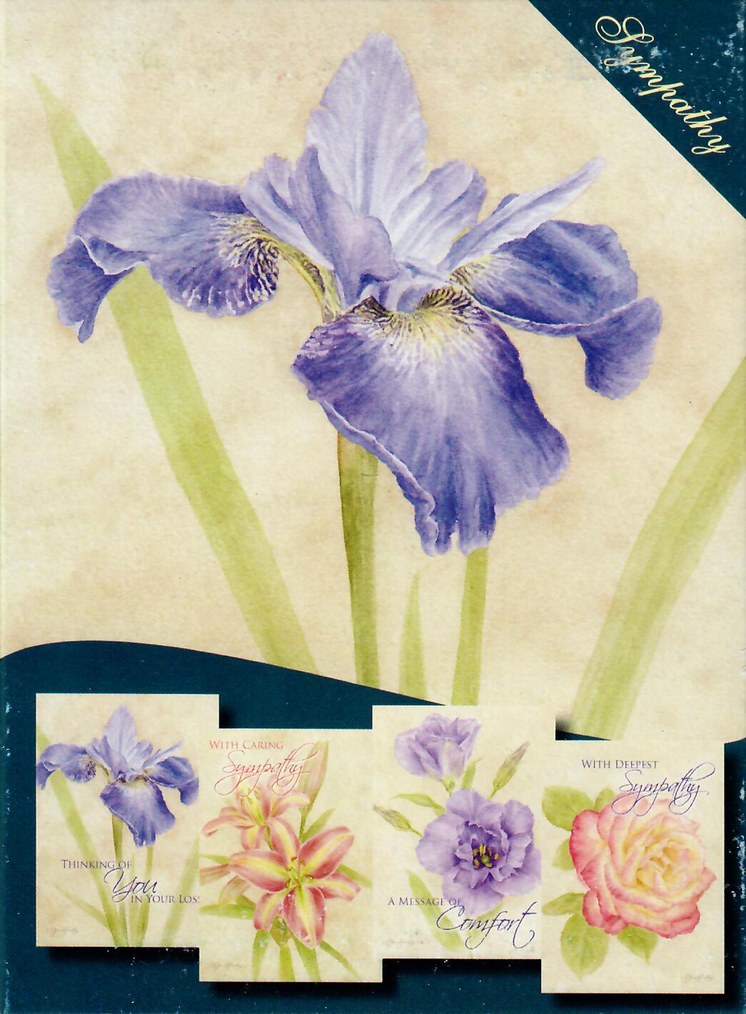 H14648 - QUIET STRENGTH - SYMPATHY - KJV