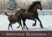 Load image into Gallery viewer, H21339 - BIRTHDAY - PEACEFUL PASTURES - KJV