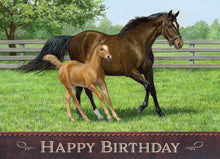 Load image into Gallery viewer, H21339 - BIRTHDAY - PEACEFUL PASTURES - KJV