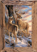 Load image into Gallery viewer, H21340 - BIRTHDAY - WHITETAIL DEER - KJV