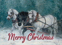 Load image into Gallery viewer, H23029 - Winter Trio - KJV