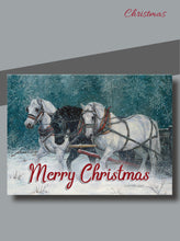 Load image into Gallery viewer, H23029 - Winter Trio - KJV