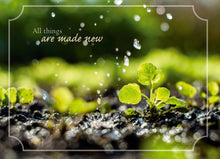 Load image into Gallery viewer, H23904 - New Life - Baptism - KJV