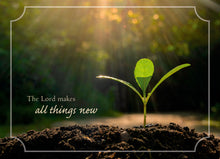 Load image into Gallery viewer, H23904 - New Life - Baptism - KJV