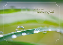 Load image into Gallery viewer, H23904 - New Life - Baptism - KJV