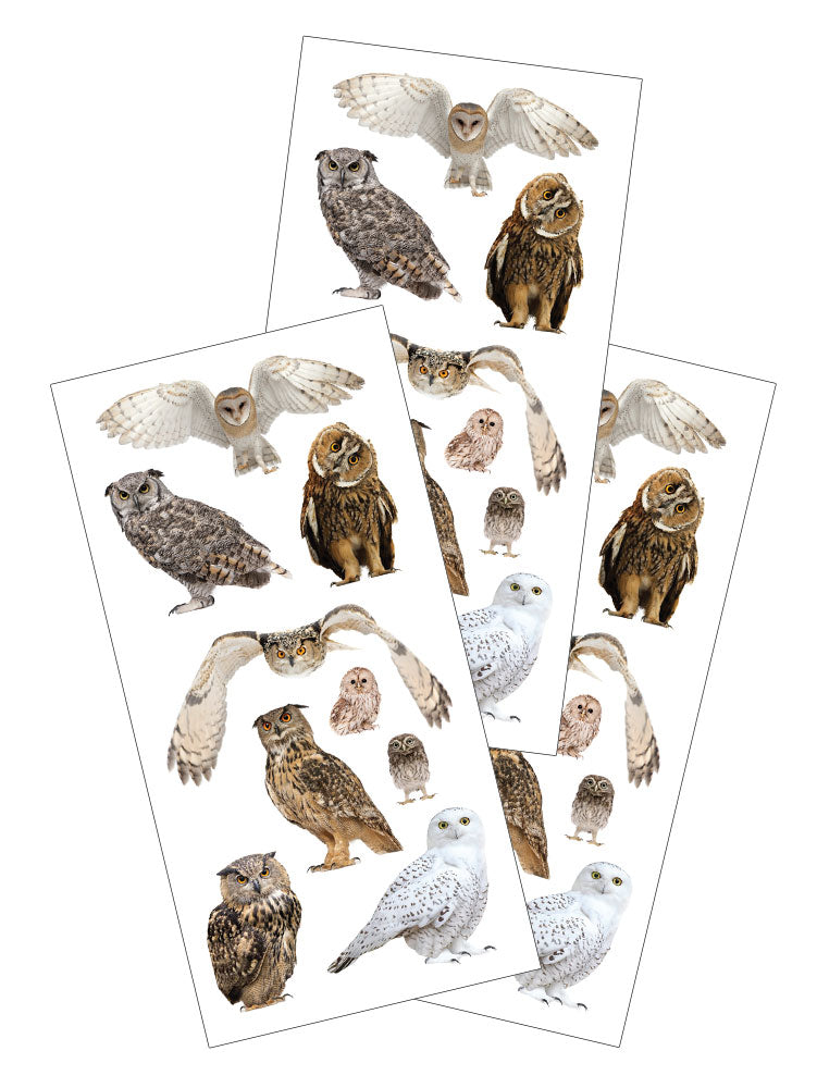 2426E - STICKER - OWL PHOTOGRAPHIC